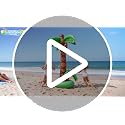 5.5ft Inflatable Palm Trees (2 Pack) - Hawaiian Luau Party Decorations