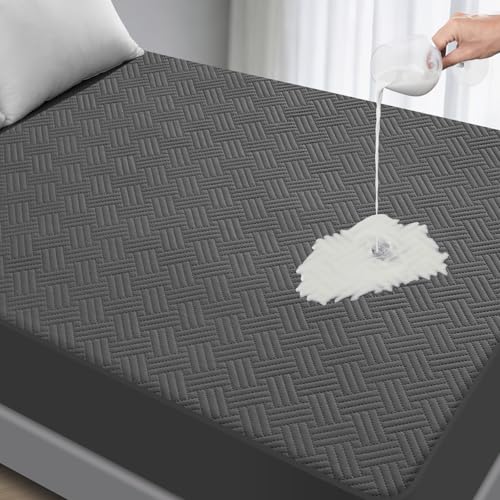 Waterproof Queen Mattress Protector - Noiseless Deep Pocket Cover, Gray