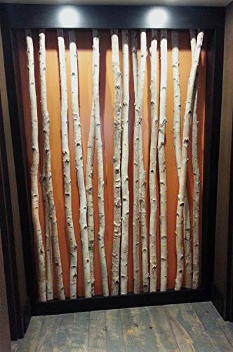 Natural White Birch Poles for Home Decor, 6 ft x 1-1.5 inch (3 Pack)