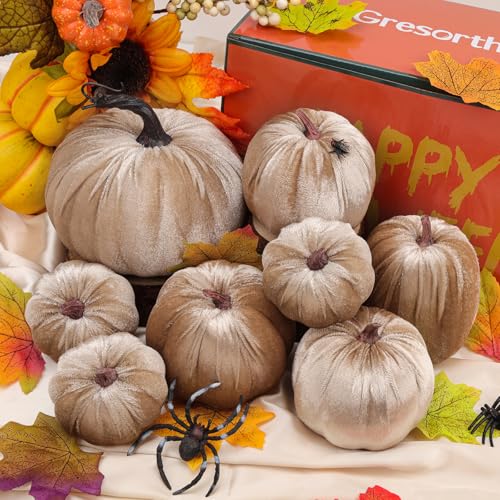 8 Pcs Assorted Velvet Artificial Pumpkins, Champagne Fall Harvest Decor