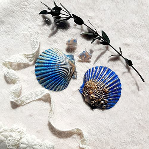 Large Natural Scallop Shells 4-5 Inch (10 Pack) for Crafting & Baking