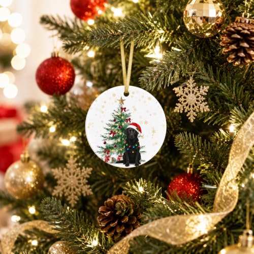 Black Lab Gifts Ceramic Christmas Ornament - Dog Ornament for Tree - Black Labrador