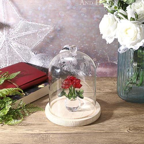 Clear Glass Display Dome Cloche with Wood Base, 7.3-inch Decorative Jar