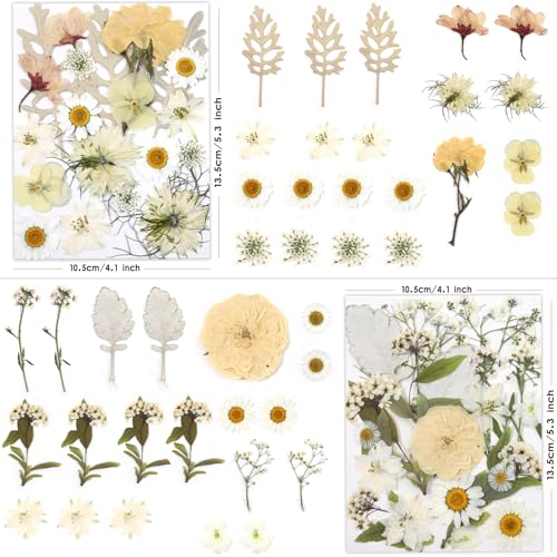 Natural Dried Pressed Flowers with Tweezers for Resin Art & Crafts - 80 Pcs