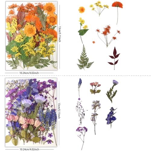 80pcs Natural Pressed Dried Flowers for Resin Art, Nail Art, and DIY Crafts