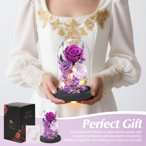 Preserved Purple Rose in Glass Dome with LED Lights, Romantic Gift for Her
