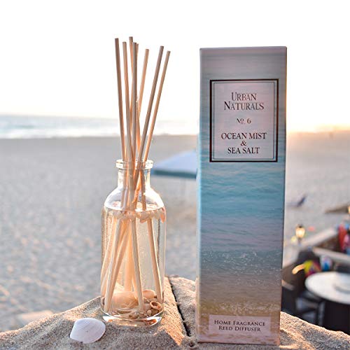 Ocean Mist & Sea Salt Reed Diffuser Set with Essential Oils and Seashells