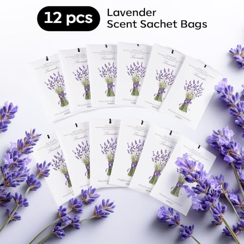 12 Pack Lavender Scented Sachets - Closet Deodorizer & Car Air Freshener