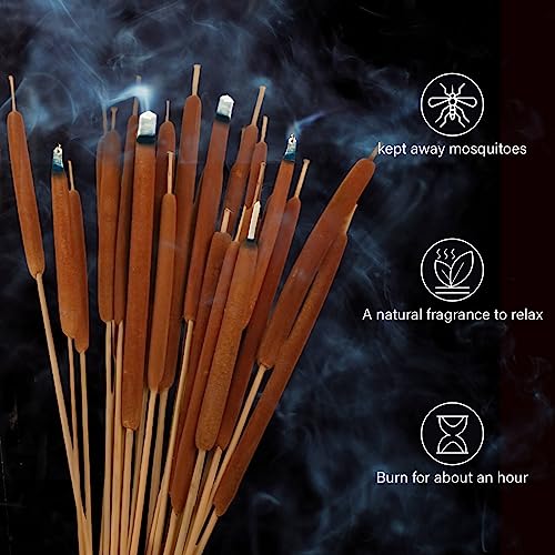 20 Pcs Dried Natural Cattails - 17-Inch Real Brown Bulrush Floral Stems
