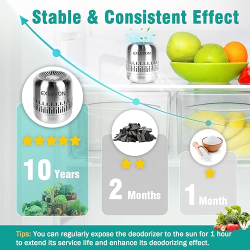 Reusable Stainless Steel Refrigerator Deodorizer & Odor Eliminator