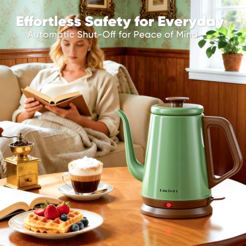 1.0L Electric Gooseneck Kettle, Stainless Steel Pour Over Coffee & Tea Pot