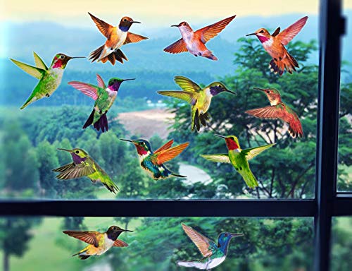 Hummingbird Window Clings - Set of 12 Anti-Collision Decals