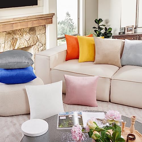 Deconovo Decorative Velvet Throw Pillow Covers for Sofa Couch 20x20 in, Fall Soft Square Cushion Cases for Living Room Decor Bedroom, Set of 2, Orange