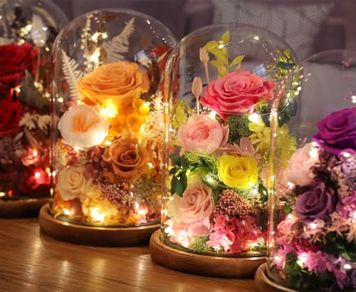 Preserved Pink Rose in Glass Dome with LED Lights for Romantic Gifts