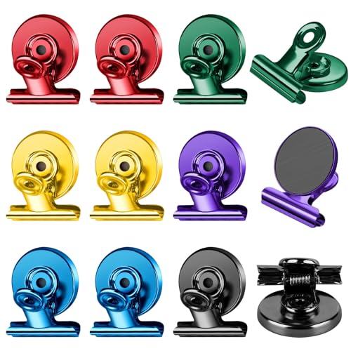 Heavy-Duty Stainless Steel Magnetic Clips with Anti-Scratch Pads - 12 Pack