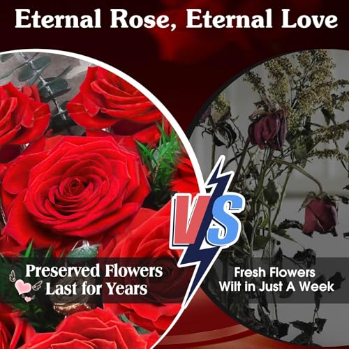 12 Preserved Real Red Roses Bouquet with LED Lights in Luxury Gift Box