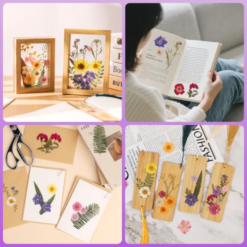 103 Pcs Real Dried Pressed Flowers Set for Resin Molds, Candles & Crafts