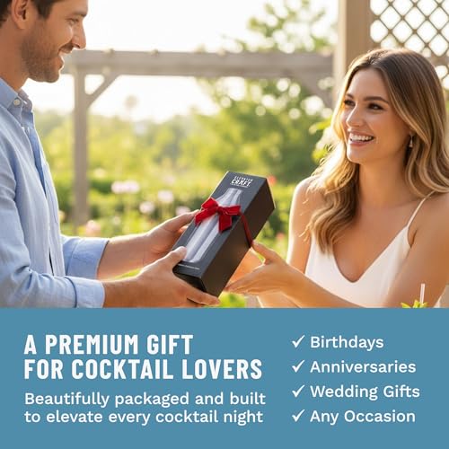 Elevated Craft Hybrid Cocktail Shaker Vacuum Insulated Stainless Steel 28 oz