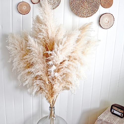 40-Inch Tall Pampas Grass Stems, Set of 10 Dried Floral Decor for Floor Vases