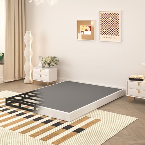 TROZULER 5 Inch Queen Box Spring, Heavy Duty Metal Mattress Foundation