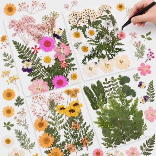 Natural Dried Pressed Flowers Set with Tweezers for Epoxy Resin Crafts (68 Pcs)