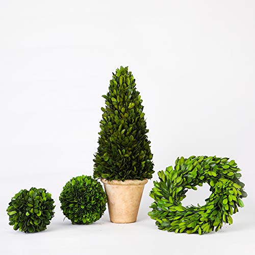 6-Inch Preserved Boxwood Decorative Ball for Indoor Home Decor