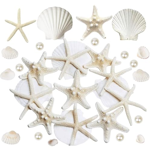 16-Piece Natural Starfish & Scallop Shells with Pearls (3-4 Inch) for Crafts