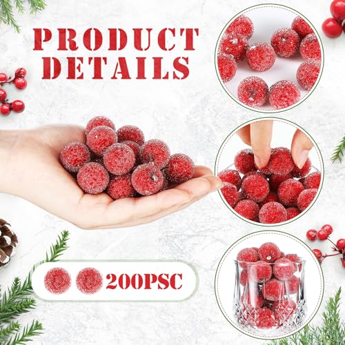 Solsew 200 Pcs Frosted Artificial Cranberries for Christmas Decor, Vase Fillers
