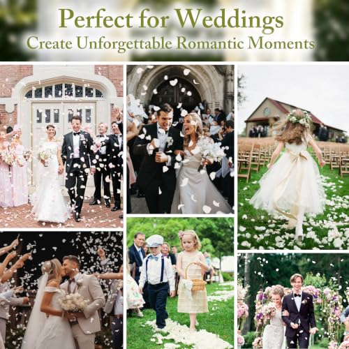 Real Freeze-Dried White Rose Petals for Wedding Decor and Toss - 180+ PCS