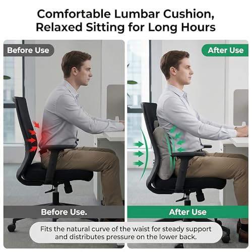 Ergonomic Lumbar Support Pillow for Office Chair & Car Seat