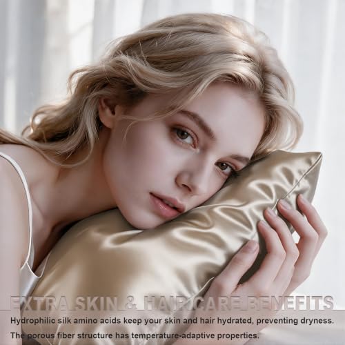 LYSHIN Silk Pillowcase 2 Pack Standard Size with Zipper Champagne