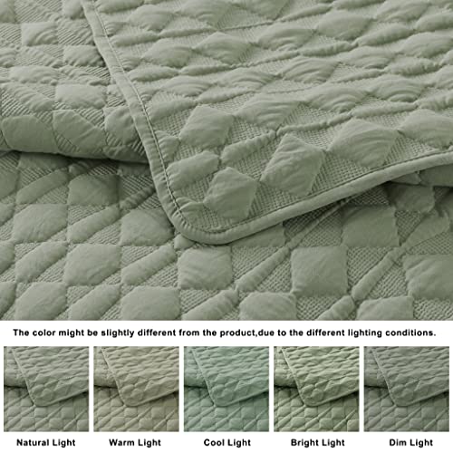 WDCOZY Sage Green Queen Quilt Bedding Set - 3 Piece Lightweight Coverlet