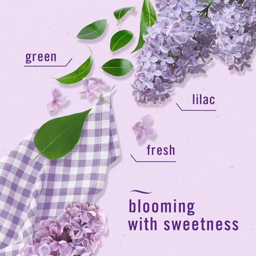 Small Space Air Freshener & Odor Eliminator - Lilac & Watermelon (4 Pack)