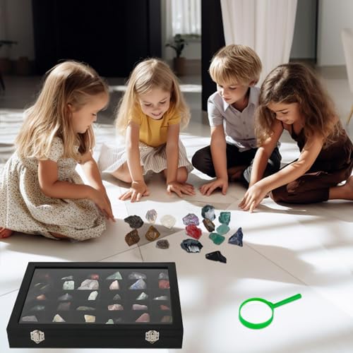 Rock Collection Display Case with 36 Adjustable Grids and Transparent Lid