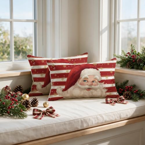 AVOIN ColorLife Christmas Red Santa 12x20 Inch Pillow Covers (Set of 2) Red / 20" x 12"