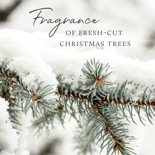 Frasier Fir Reed Diffuser Oil Refill, 7.75 fl oz - Pine & Cedarwood Scent