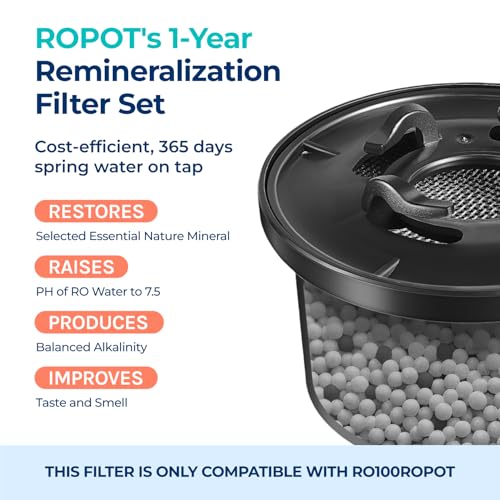 Alkaline Remineralization Water Filter Replacement 2-Pack (1-Year Set)