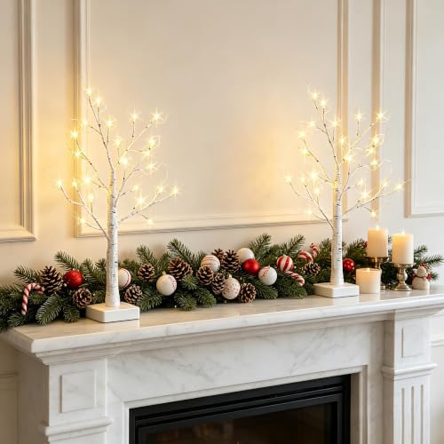 2-Pack 2ft Pre-Lit Birch Trees with Warm White LEDs - Tabletop Decor