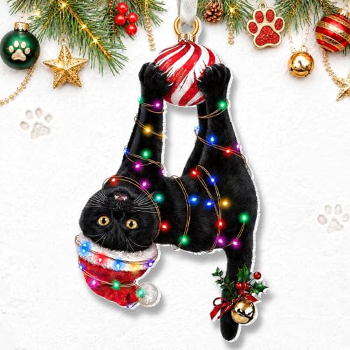 Pawzity Cat Black Christmas Ornament - One-Sided Acrylic Ornament with Beige Ribbon, Gift Box (Cat Black)