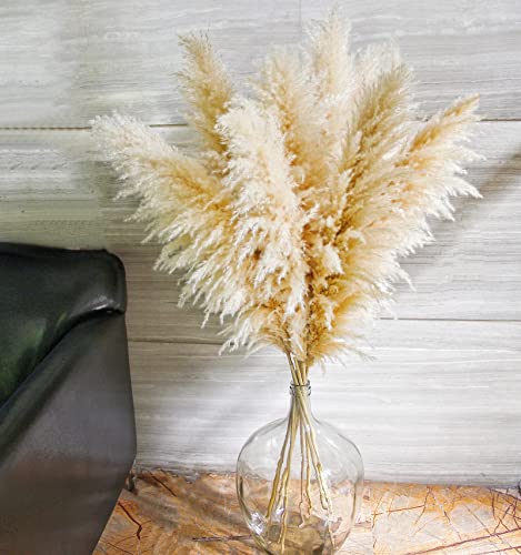 46-Inch Tall Dried Pampas Grass Decor - 10 Stems Fluffy Boho Floral Bouquet