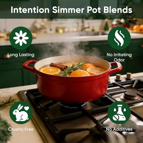 Natural Simmer Pot Potpourri Mix - Dried Fruit, Herbs & Spice Home Fragrance