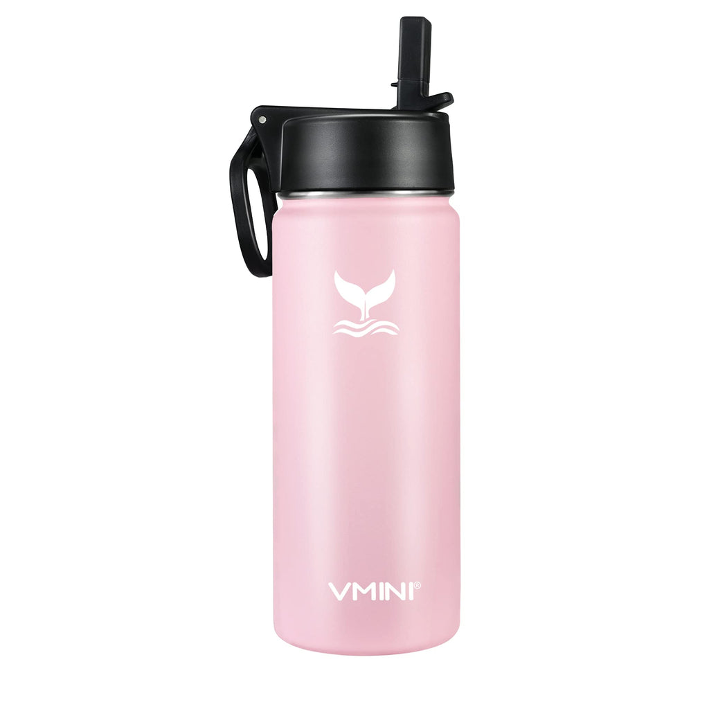 Vmini Water Bottle with Straw, Wide Rotating Handle Straw Lid, Wide Mouth Vacuum Insulated Stainless Steel Water Bottle, Pick, 18 oz