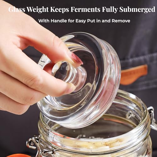 Glass Fermentation Jar Kit 1.5L 2 Pack with Airlock and Weights