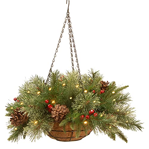 National Tree Company 20in Pre-Lit Colonial Fir Hanging Basket (Basket) – Indoor/Outdoor Christmas Decor