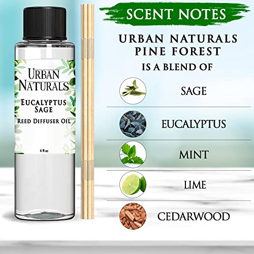 Eucalyptus and Sage Reed Diffuser Oil Refill with Sticks, 4 oz