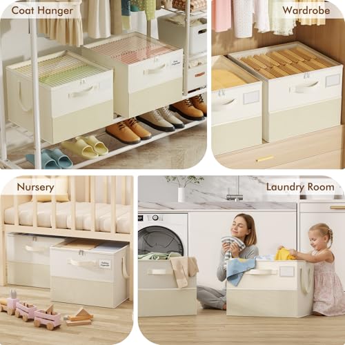 2-Pack Foldable Shoe Storage Box with Adjustable Dividers & Clear Lid
