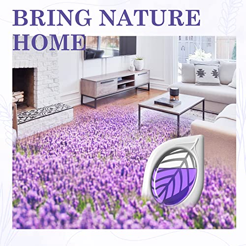 Lavender Air Freshener & Odor Eliminator for Home & Closets - 4 Pack