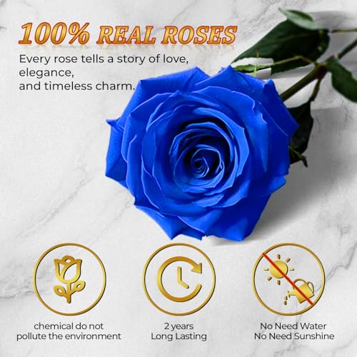 Heart Shaped Preserved Rose Gift Box - 16 Real Long-Lasting Blue Roses
