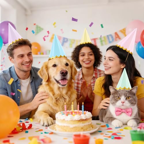 24-Piece Pre-Assembled Party Hats for Adults and Kids, Bulk Party Favors