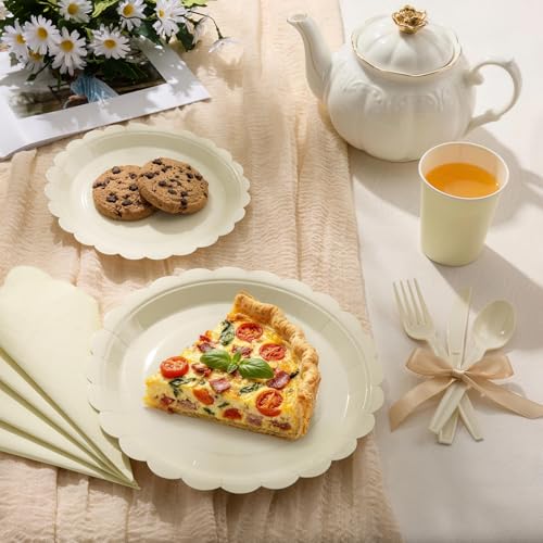 Ivory Scalloped Disposable Tableware Set (350Pcs) - 50 Guests - Goodluck